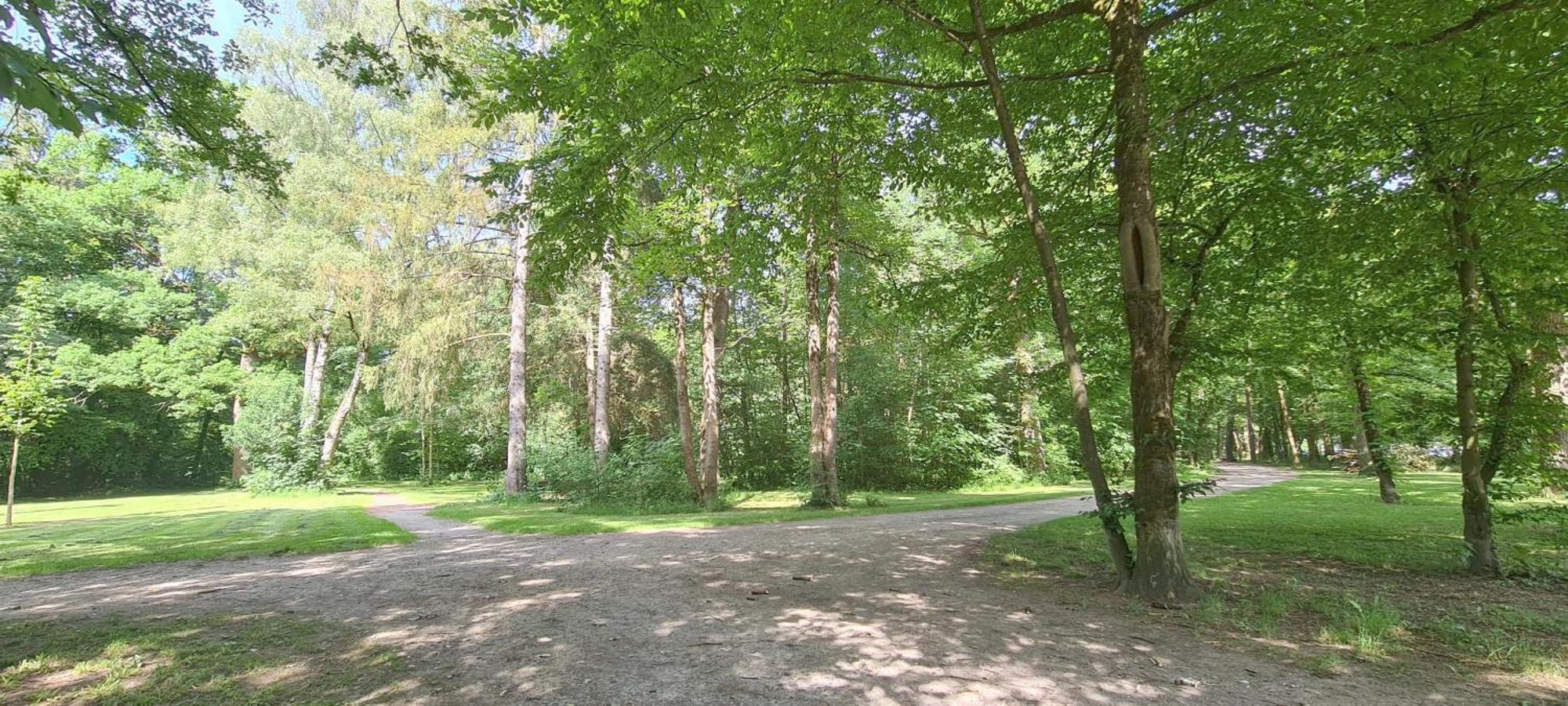 Amazing, Spacious In Excellent Location