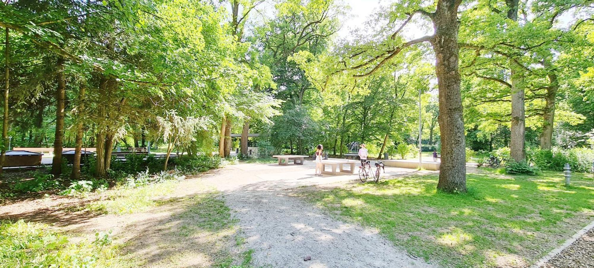 Amazing, Spacious In Excellent Location Appartement
